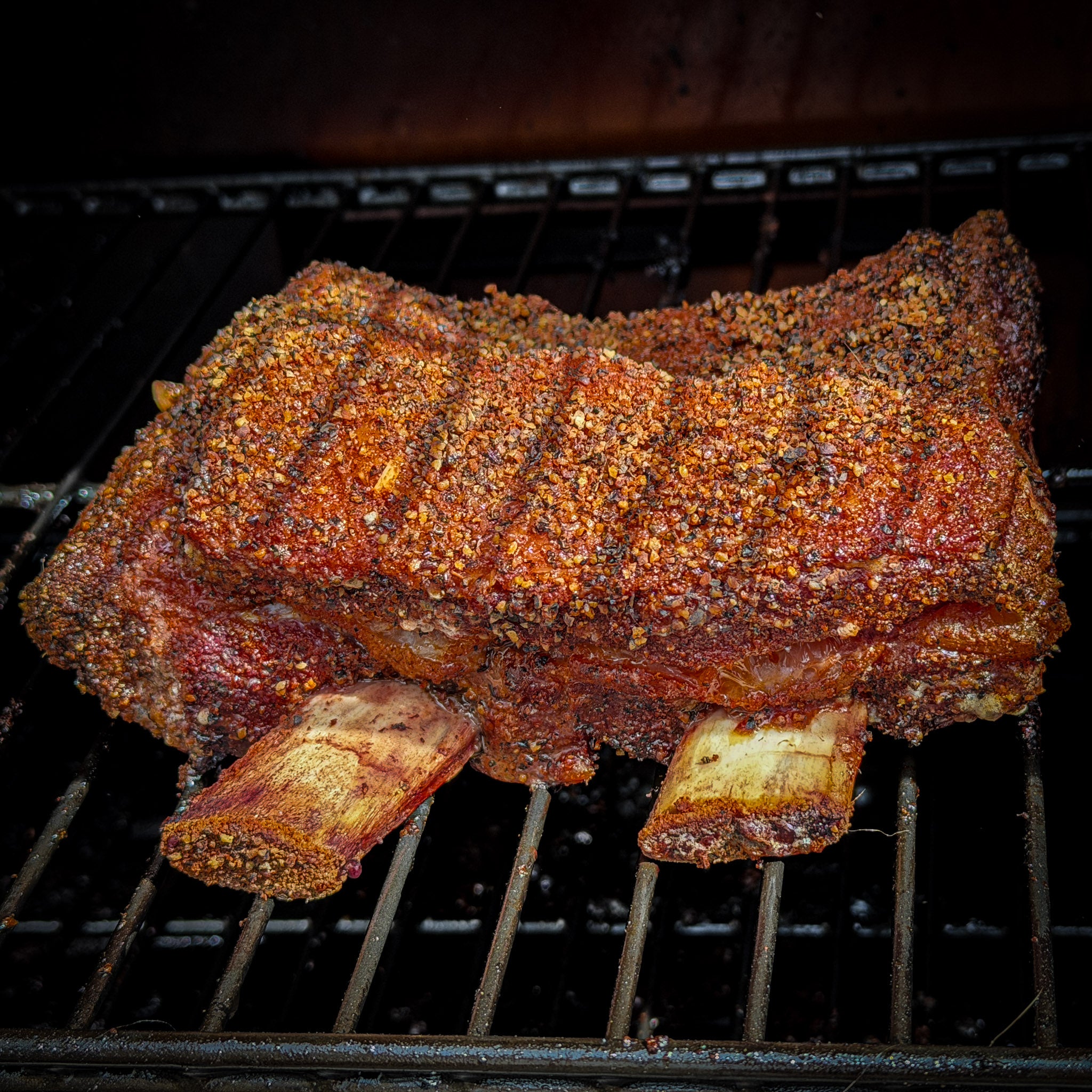 Short Ribs Box of Bison